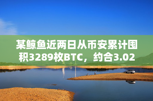 某鲸鱼近两日从币安累计囤积3289枚BTC，约合3.02亿美元