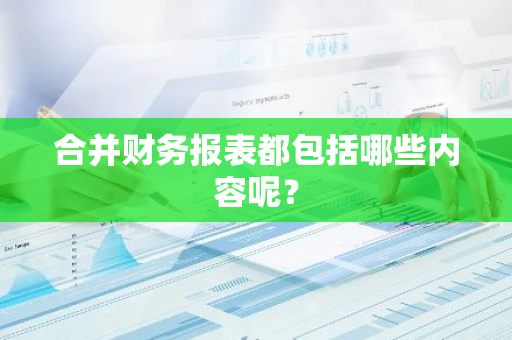 合并财务报表都包括哪些内容呢？