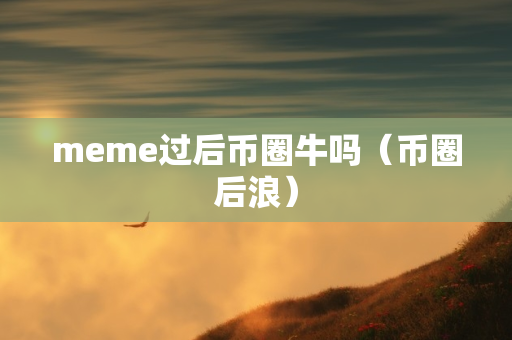 meme过后币圈牛吗（币圈后浪）