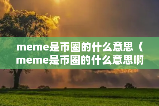 meme是币圈的什么意思（meme是币圈的什么意思啊）