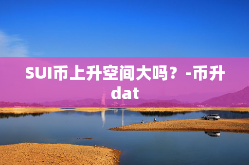 SUI币上升空间大吗？-币升dat