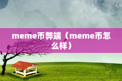 meme币弊端（meme币怎么样）