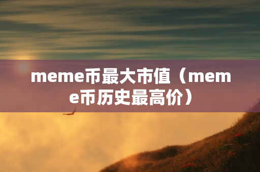 meme币最大市值（meme币历史最高价）