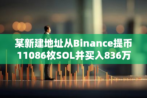 某新建地址从Binance提币11086枚SOL并买入836万枚SLERF