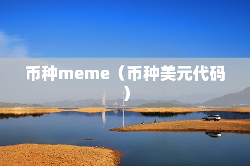 币种meme（币种美元代码）