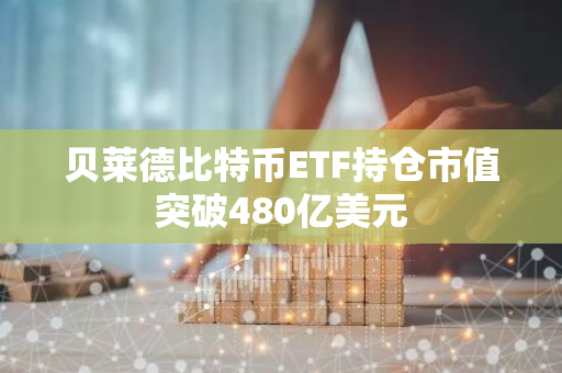 贝莱德比特币ETF持仓市值突破480亿美元