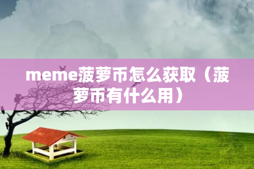 meme菠萝币怎么获取（菠萝币有什么用）