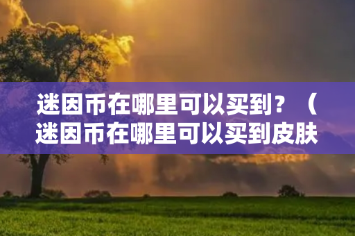 迷因币在哪里可以买到？（迷因币在哪里可以买到皮肤碎片）