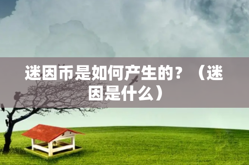 迷因币是如何产生的？（迷因是什么）