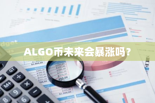 ALGO币未来会暴涨吗？