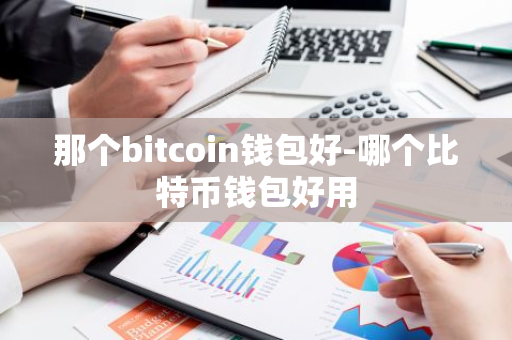 那个bitcoin钱包好-哪个比特币钱包好用