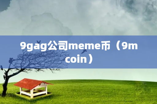 9gag公司meme币（9mcoin）