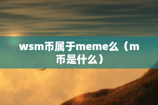 wsm币属于meme么（m币是什么）