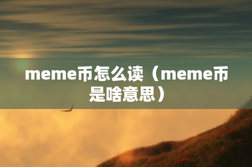 meme币怎么读（meme币是啥意思）