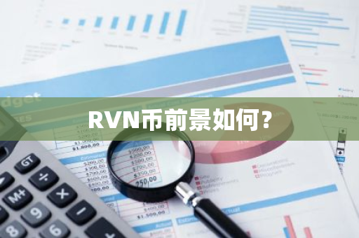 RVN币前景如何？