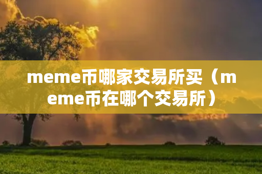 meme币哪家交易所买（meme币在哪个交易所）