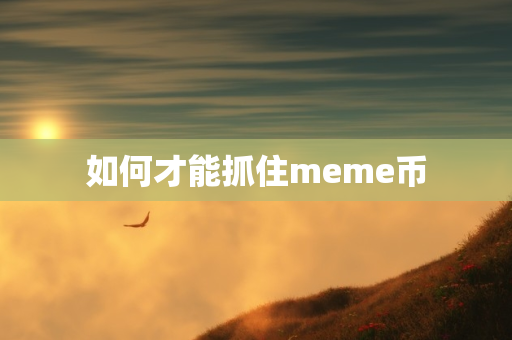 如何才能抓住meme币