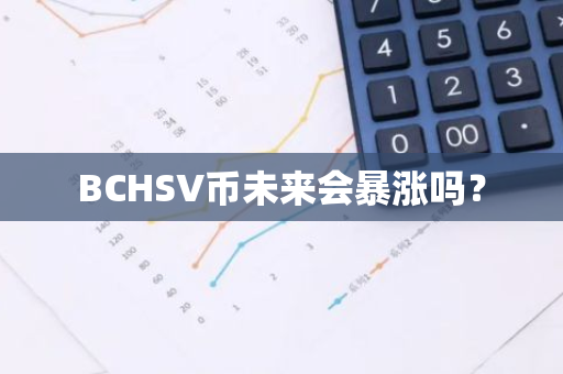 BCHSV币未来会暴涨吗？