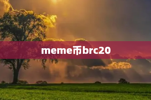 meme币brc20