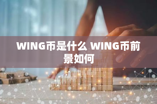 WING币是什么 WING币前景如何