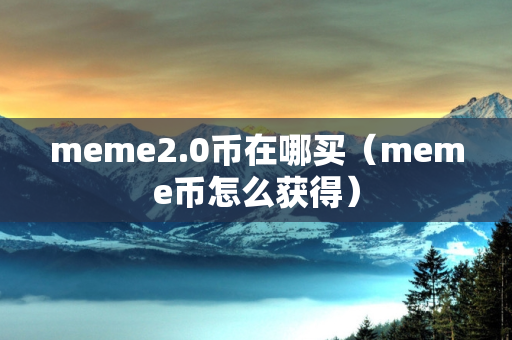 meme2.0币在哪买（meme币怎么获得）