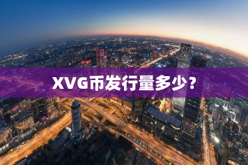 XVG币发行量多少？