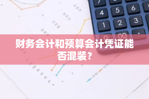 财务会计和预算会计凭证能否混装？