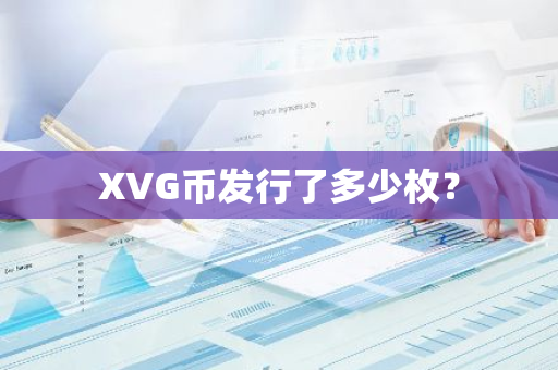 XVG币发行了多少枚？