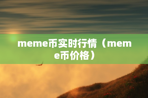 meme币实时行情（meme币价格）