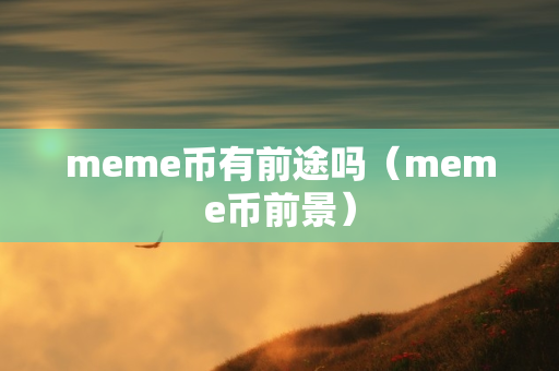 meme币有前途吗（meme币前景）