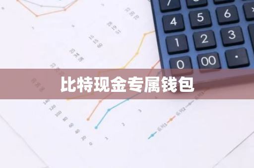 比特现金专属钱包