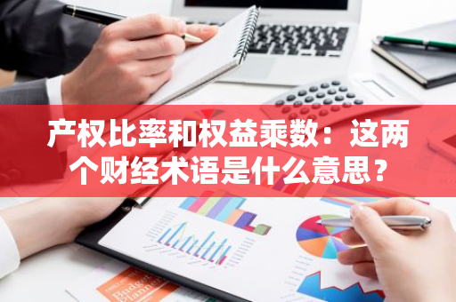 产权比率和权益乘数：这两个财经术语是什么意思？