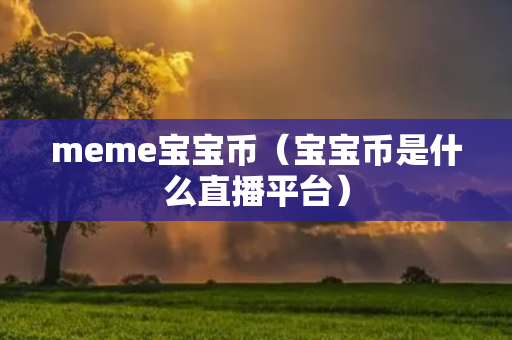 meme宝宝币（宝宝币是什么直播平台）