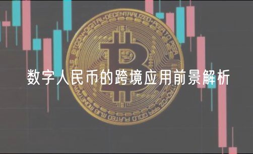 数字人民币的跨境应用前景解析