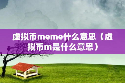 虚拟币meme什么意思（虚拟币m是什么意思）