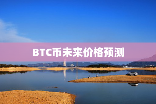 BTC币未来价格预测