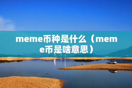 meme币种是什么（meme币是啥意思）