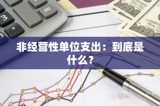 非经营性单位支出：到底是什么？