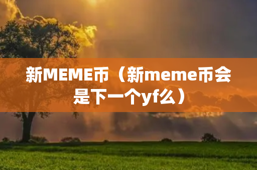 新MEME币（新meme币会是下一个yf么）