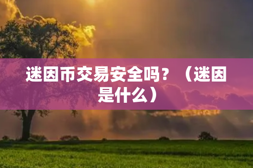 迷因币交易安全吗？（迷因是什么）