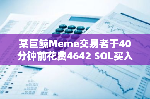 某巨鲸Meme交易者于40分钟前花费4642 SOL买入SLERF