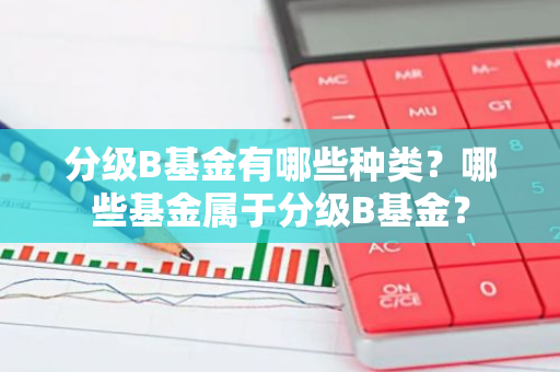 分级B基金有哪些种类？哪些基金属于分级B基金？