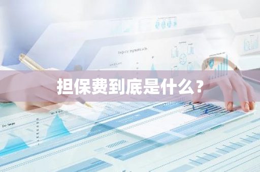 担保费到底是什么？