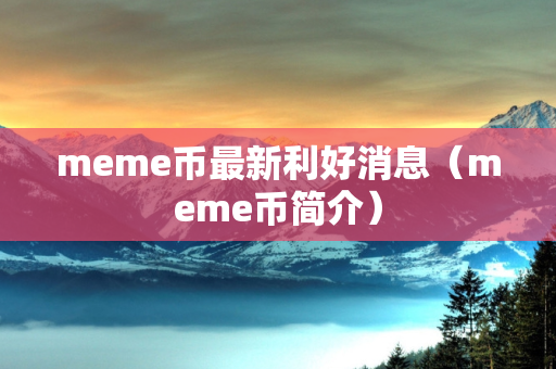 meme币最新利好消息（meme币简介）