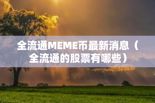 全流通MEME币最新消息（全流通的股票有哪些）