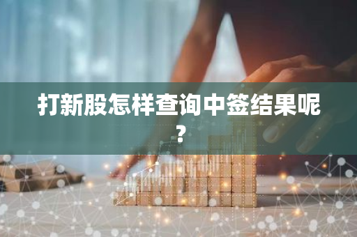 打新股怎样查询中签结果呢？