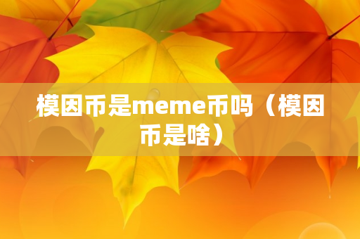 模因币是meme币吗（模因币是啥）