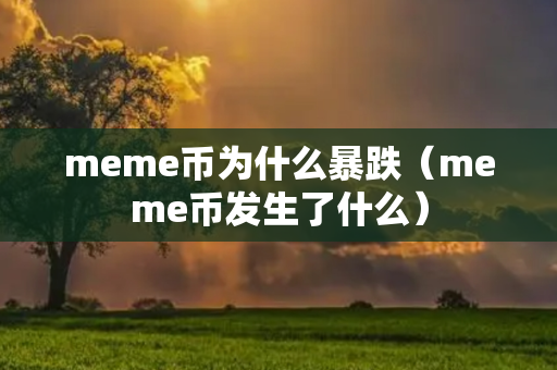 meme币为什么暴跌（meme币发生了什么）