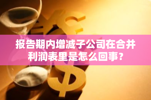 报告期内增减子公司在合并利润表里是怎么回事？