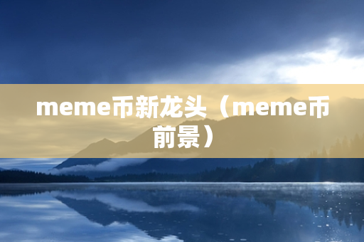 meme币新龙头（meme币前景）